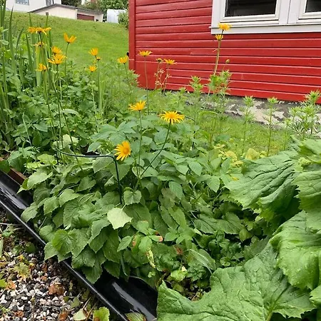 Gullengvegen 53 Backyard Tromso