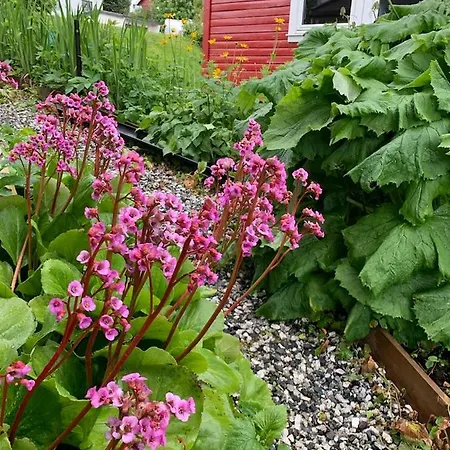 Gullengvegen 53 Backyard Apartment Tromso