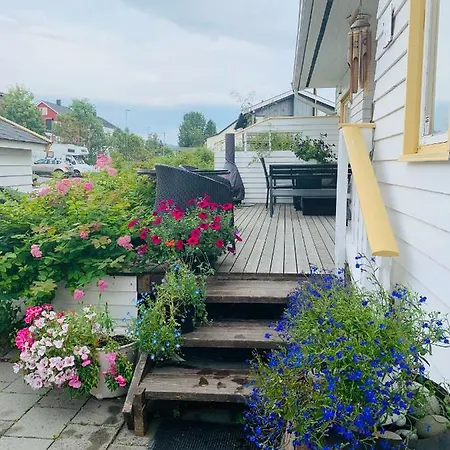 Gullengvegen 53 Backyard *